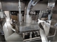 Máquina efervescente da compressão da tabuleta da cânfora da vitamina do leite fornecedor