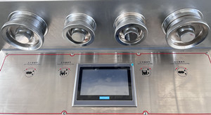TIANHE ZP29 20 Diâmetro Máquina de Prensa Automática de Tabletes Para 500 mg de Doces de Leite Seco fornecedor