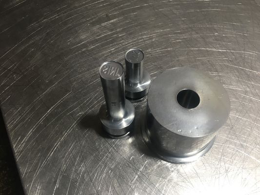 TIANHE Customized Multi-head mould/Punches & dies/Material S7 Hard Chrome fornecedor